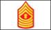Marine Corps Master Gunnery Sergeant E-9